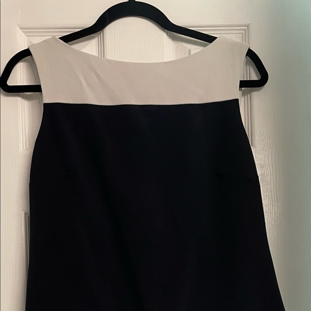 Roz and Ali Sheath Dress
